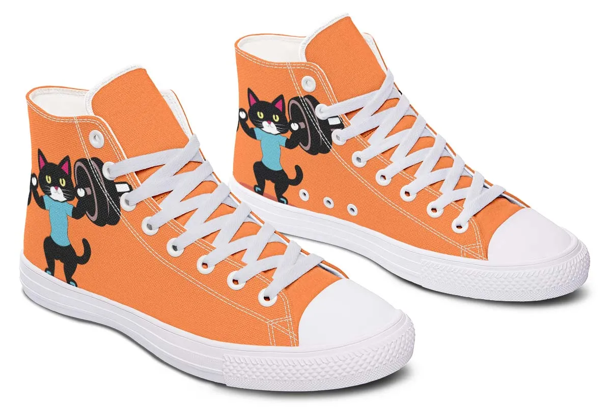 Cat Training Gym